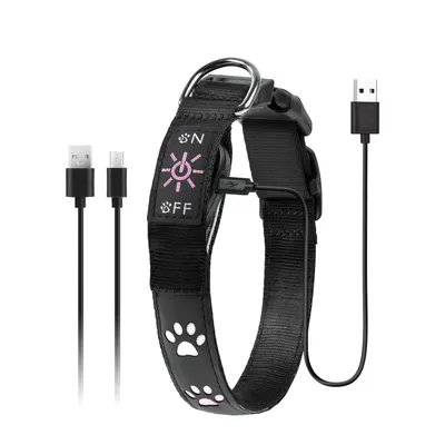 Collier lumineux pour chien
