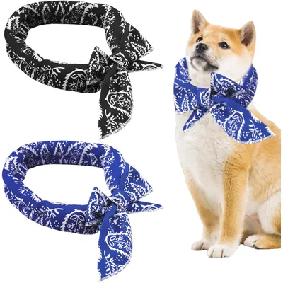 Qinhul Colliers rafraîchissants pour chats et chiens Qinhul Colliers rafraîchissants pour chats et chiens