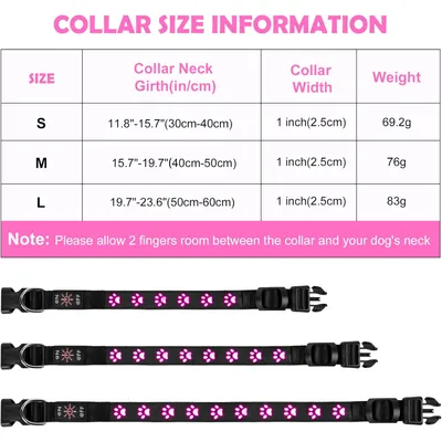 Collier lumineux pour chien