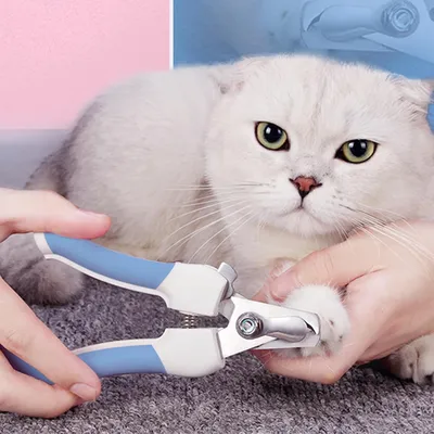 Qinhul Coupe-ongles pour chats et chiens