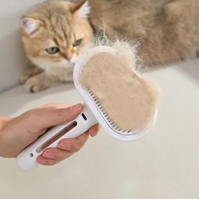 Qinhul Peigne vaporisateur pour chat