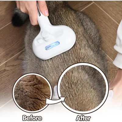 Qinhul Peigne vaporisateur pour chat