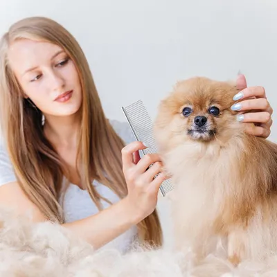 Qinhul Peigne de toilettage pour chat