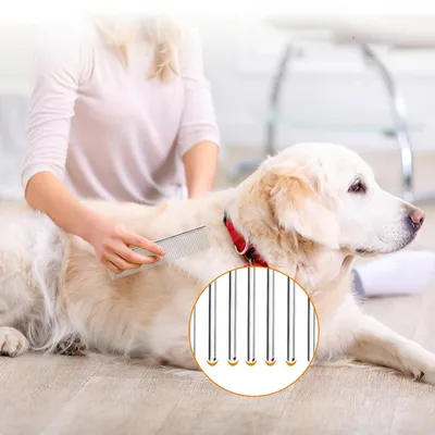 Qinhul Peigne de toilettage pour chat