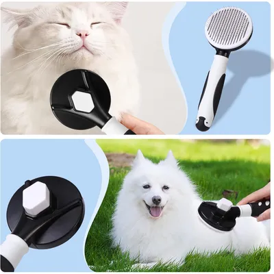 Peigne démêlant pour chat