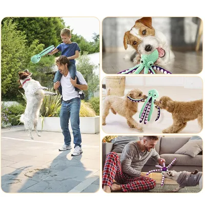 Qinhul Jouet couineur pour chien