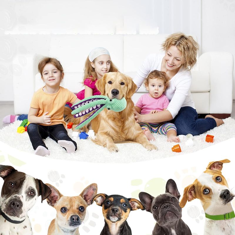 Qinhul Jouet couineur pour chien