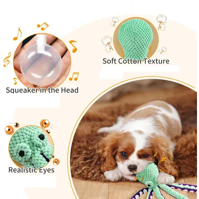 Qinhul Jouet couineur pour chien