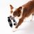 Qinhul Jouets en peluche pour chiens