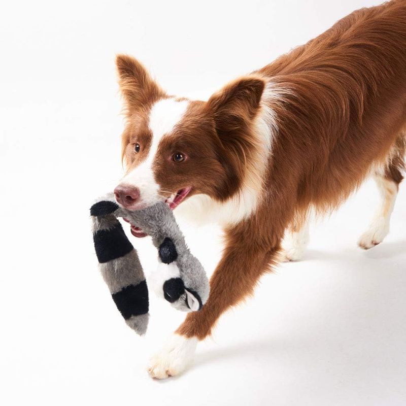 Qinhul Jouets en peluche pour chiens