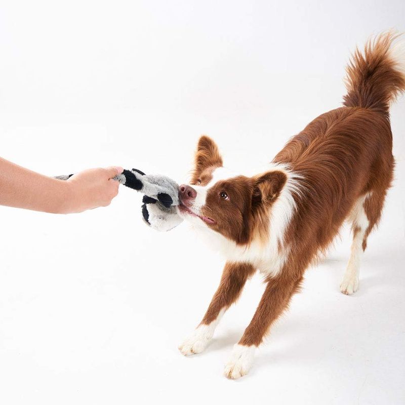 Qinhul Jouets en peluche pour chiens