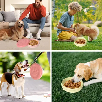 Boîte à collations pour chien