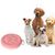 Boîte à collations pour chien