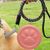 Boîte à collations pour chien