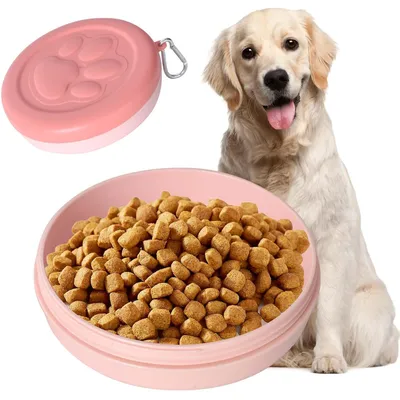 Boîte à collations pour chien