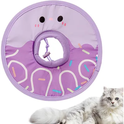 Qinhul Collier de récupération pour chat