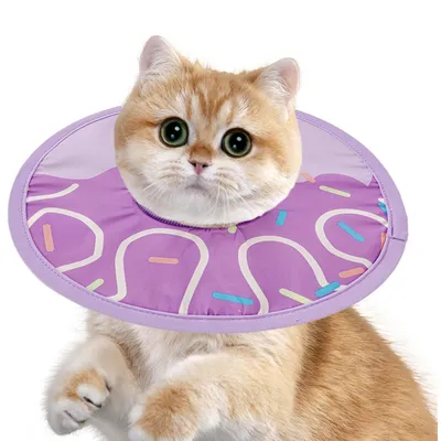 Qinhul collar de recuperación para gatos