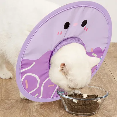Qinhul collar de recuperación para gatos