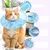 Qinhul Collier de rééducation anti-léchage pour chat