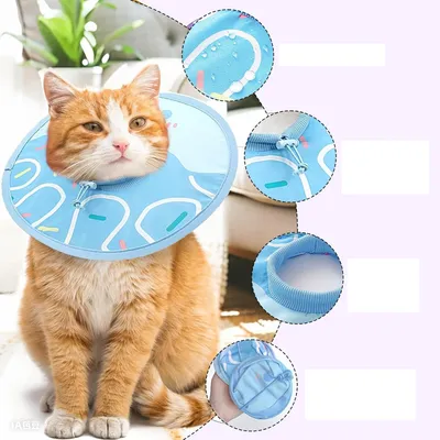 Qinhul Collier de rééducation anti-léchage pour chat