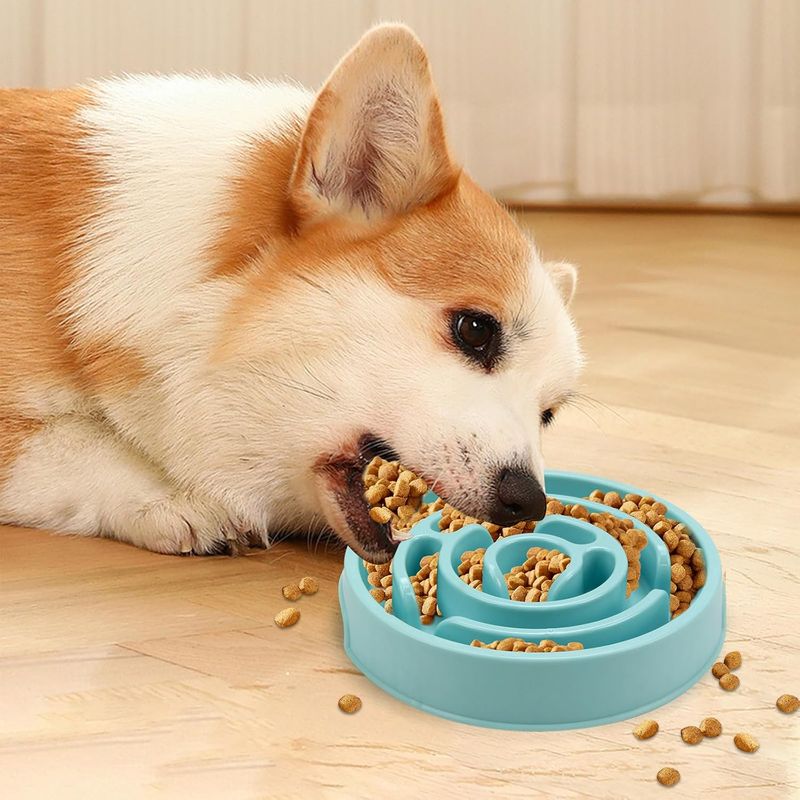 Gamelle pour chien Slow Food