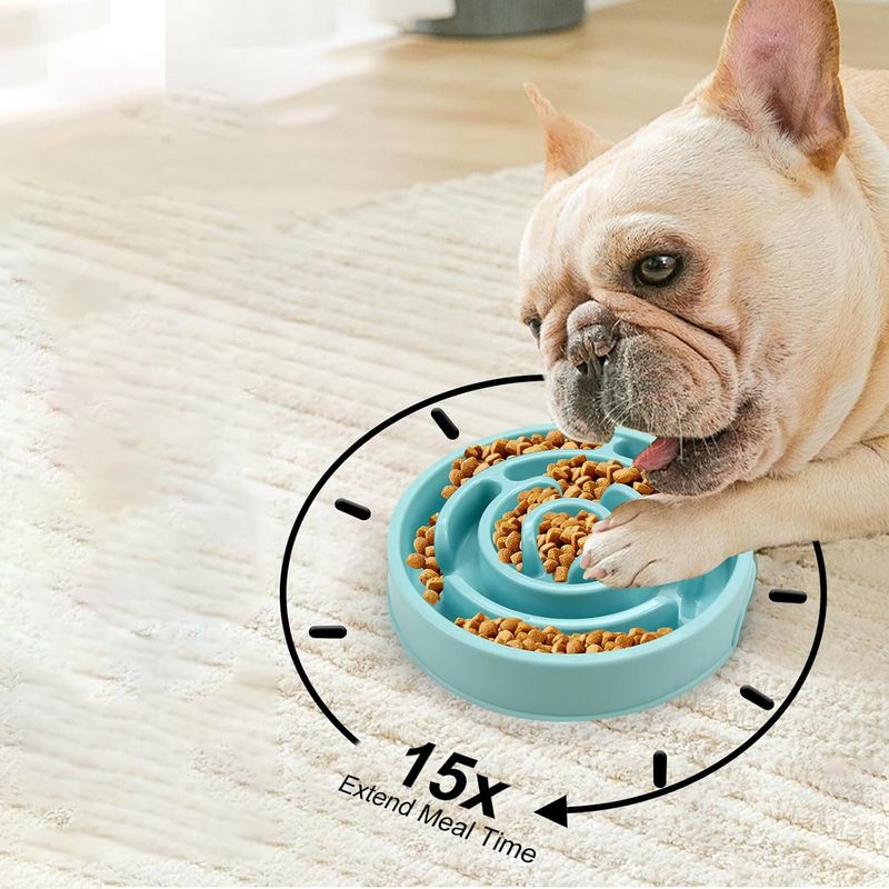 Gamelle pour chien Slow Food