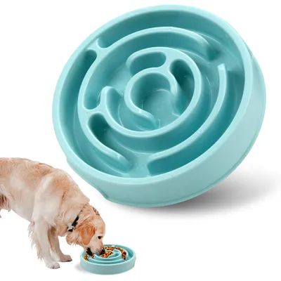 Gamelle pour chien Slow Food