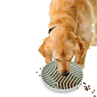 Gamelle en silicone à alimentation lente pour chien