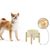 Qinhul Gamelle pour chien en céramique
