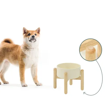 Qinhul Gamelle pour chien en céramique