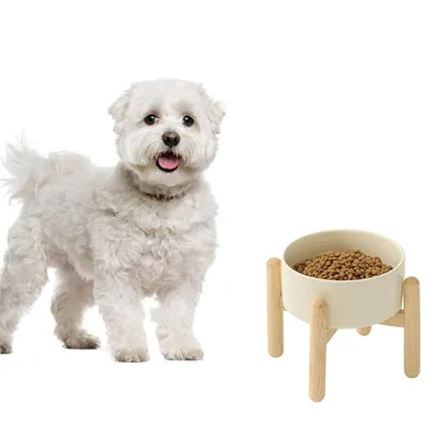 Qinhul Gamelle pour chien en céramique