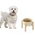 Qinhul Gamelle pour chien en céramique