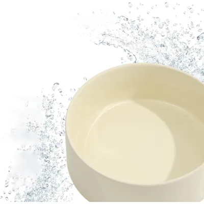 Qinhul Gamelle pour chien en céramique