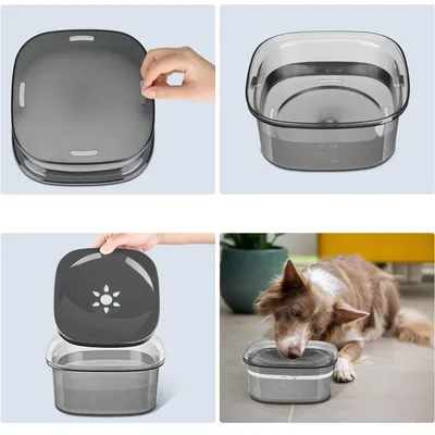Bol à boire pour chien résistant aux éclaboussures