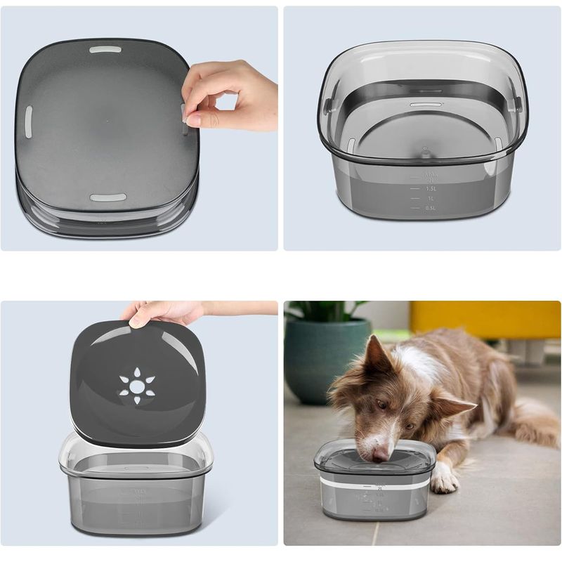 Bol à boire pour chien résistant aux éclaboussures