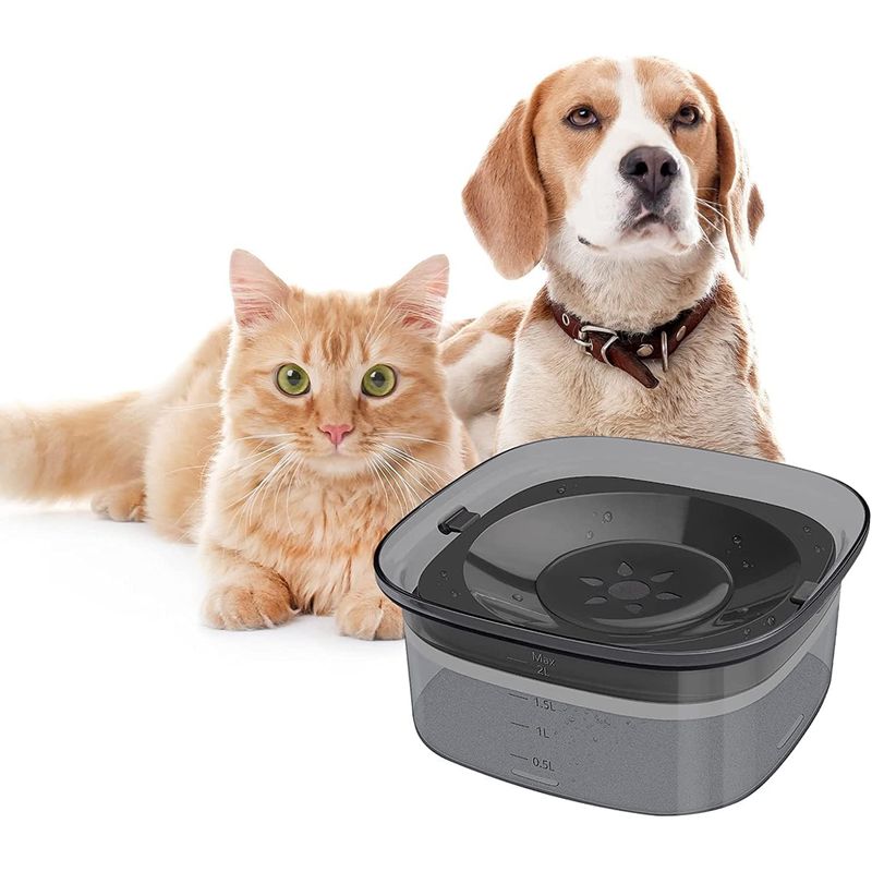Bol à boire pour chien résistant aux éclaboussures
