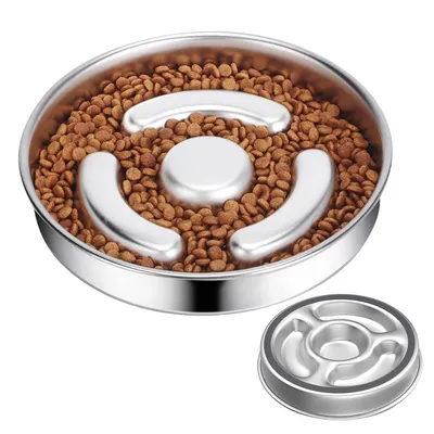 Gamelle pour chien à alimentation lente en acier inoxydable