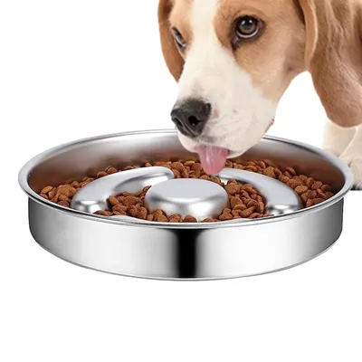 Gamelle pour chien à alimentation lente en acier inoxydable