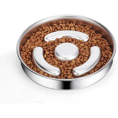 Gamelle pour chien à alimentation lente en acier inoxydable