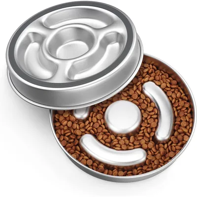 Gamelle pour chien à alimentation lente en acier inoxydable