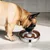 Gamelle pour chien à alimentation lente en acier inoxydable