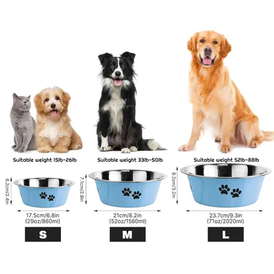 Qinhul Gamelle antidérapante en acier inoxydable pour chien