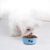 Qinhul Gamelle antidérapante en acier inoxydable pour chien