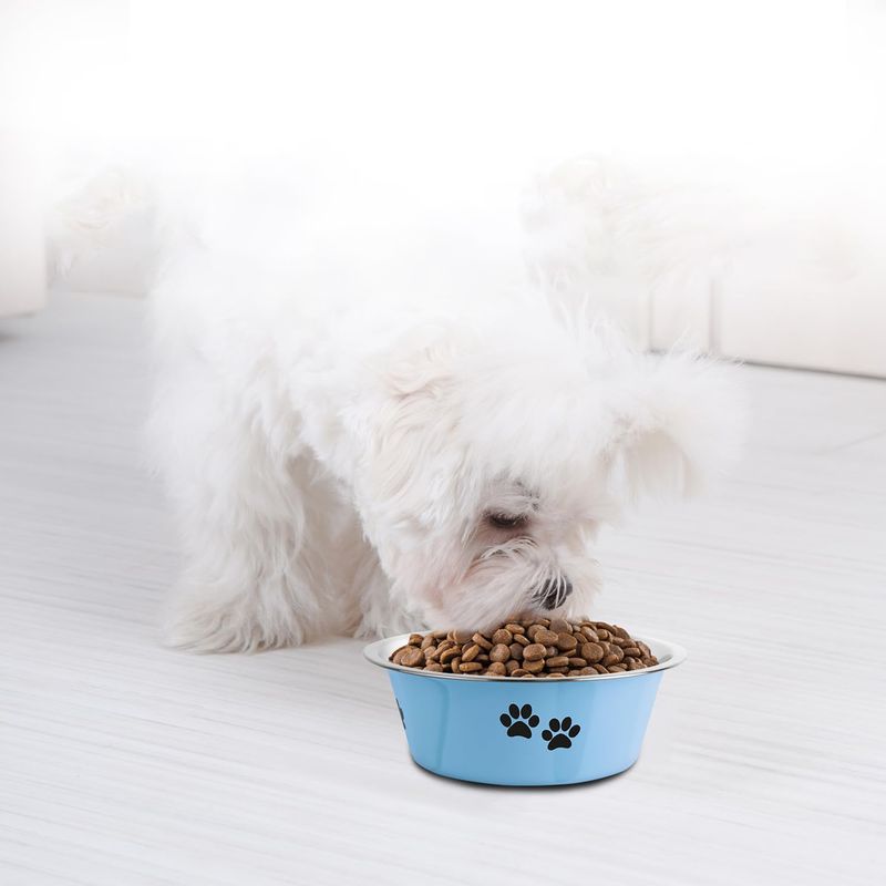 Qinhul Gamelle antidérapante en acier inoxydable pour chien