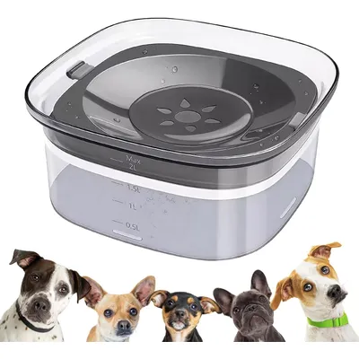 Bol à boire pour chien résistant aux éclaboussures