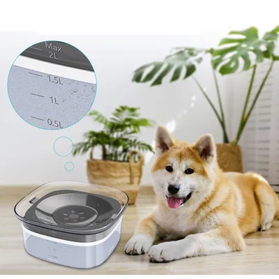 Bol à boire pour chien résistant aux éclaboussures