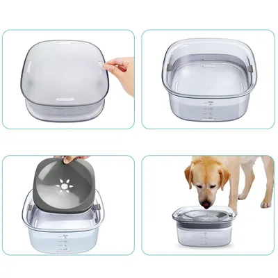 Bol à boire pour chien résistant aux éclaboussures