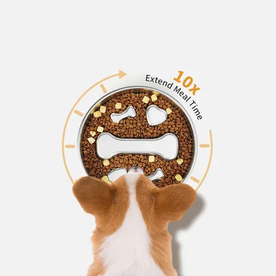 Gamelle pour chien à alimentation lente en acier inoxydable