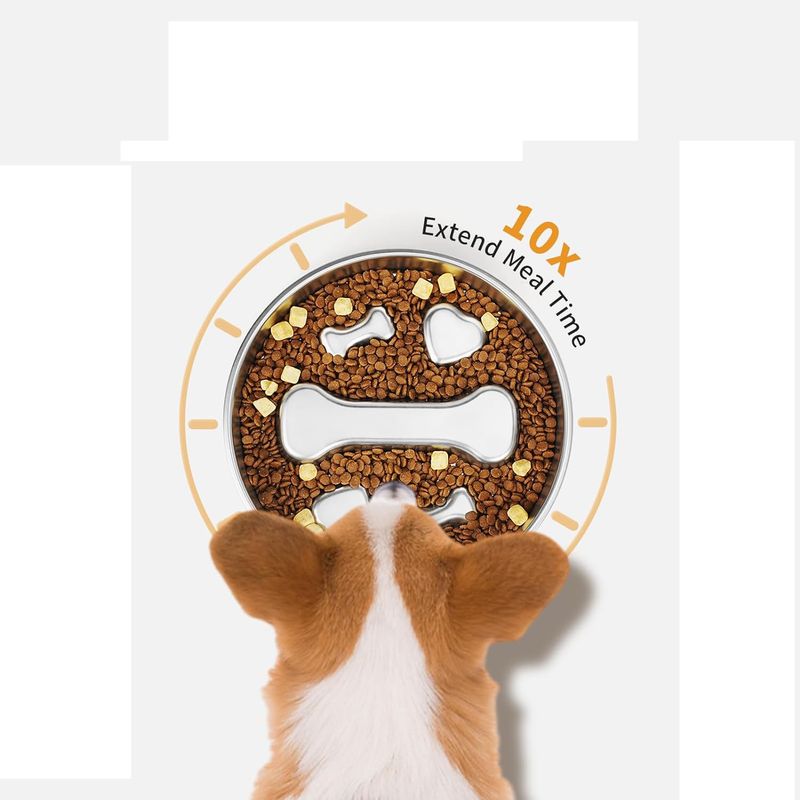 Gamelle pour chien à alimentation lente en acier inoxydable