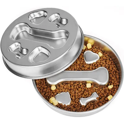 Gamelle pour chien à alimentation lente en acier inoxydable